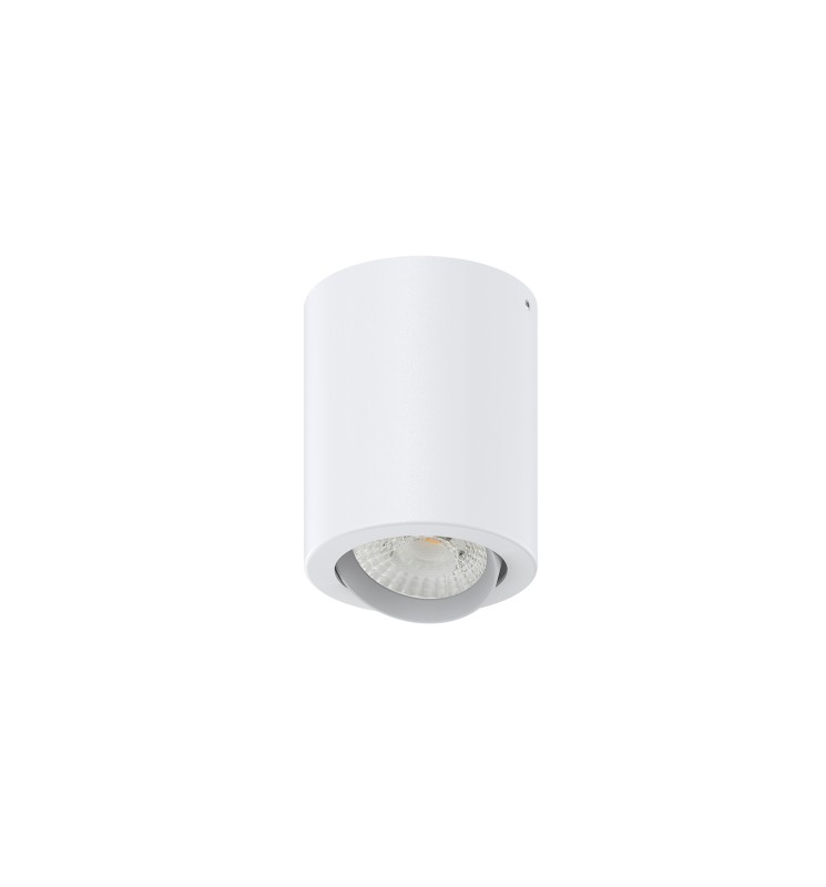 Plafonnier LED
Orientable led
Luminaire Dimmable déco
Blanc