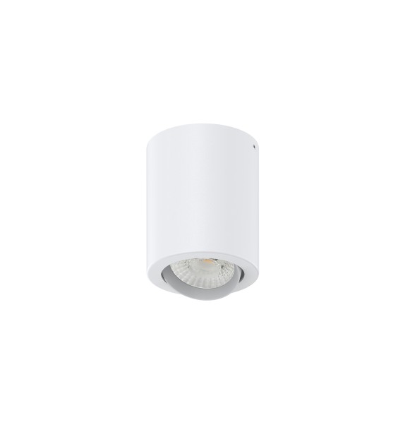 Plafonnier LED
Orientable led
Luminaire Dimmable déco
Blanc