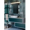 APPLIQUE / REGLETTE SDB DIZZY AP 1x24W LED CH (4.1.2)
